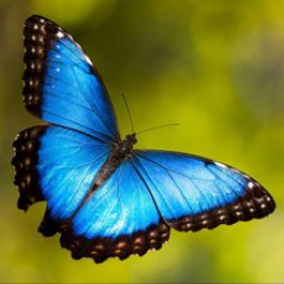 Foto del perfil de UwU