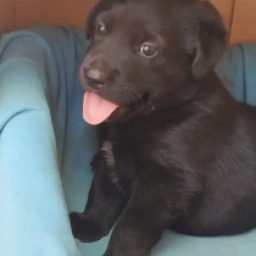 Foto del perfil de Dany