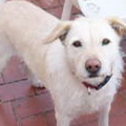 Foto del perfil de Aretan