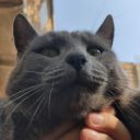 Foto del perfil de ameyalli