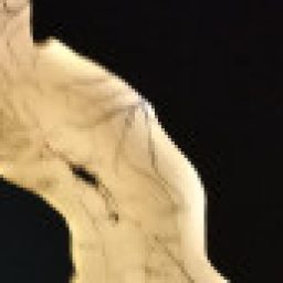 Foto del perfil de Cinthipont05