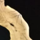 Foto del perfil de Cinthipont05