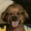 Foto del perfil de daitell