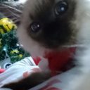 Foto del perfil de May